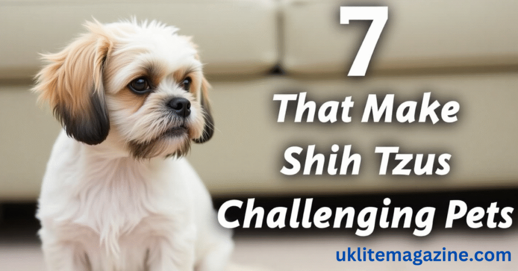 Why Shih Tzu Are the Worst Dog