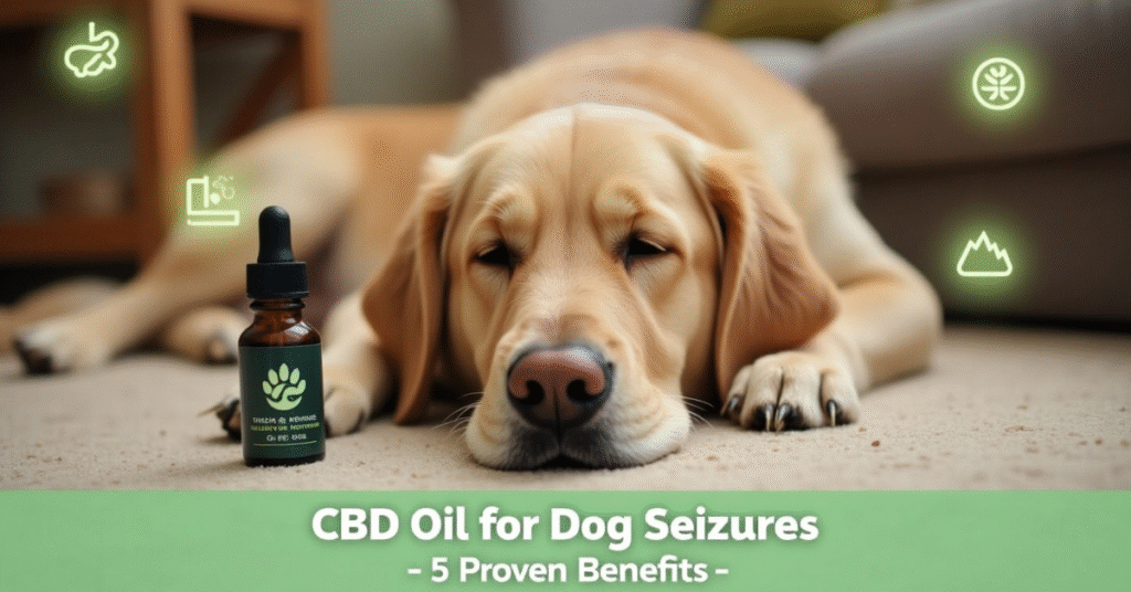 CBD oil for dog seizures
